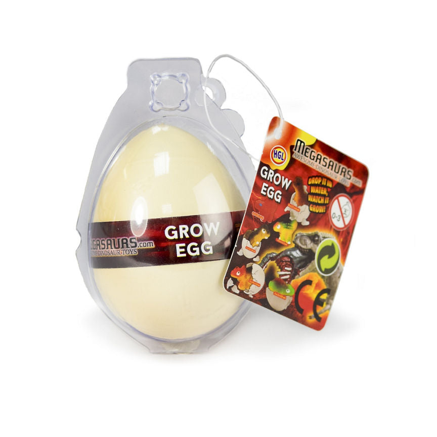 HGL Dino Egg (3+ Years) Kid's Zone ASDA   