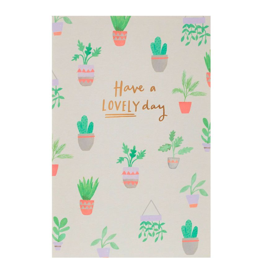 George Home Cacti Birthday Card General Household ASDA   