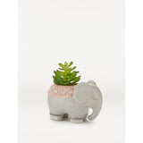 George Home Faux Succulent In Decorative Elephant Pot 14cm - McGrocer