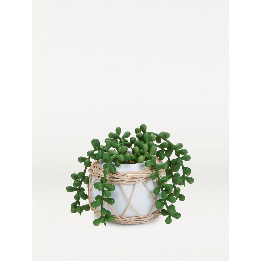 George Home Faux Wrapped Succulent In Round Pot