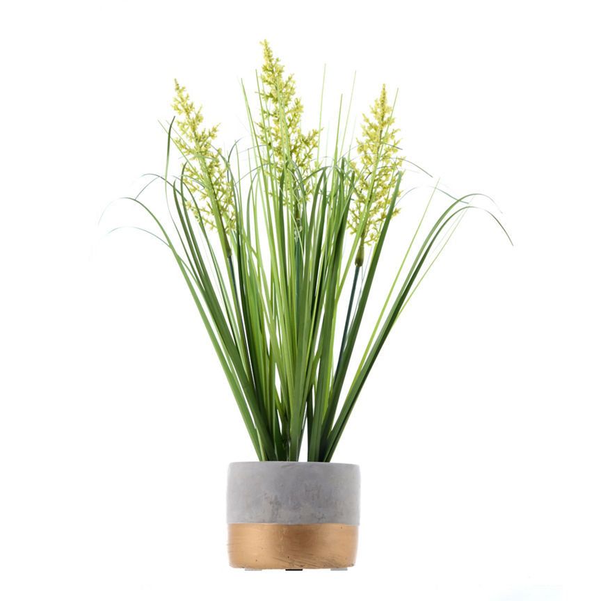 George Home Grass In Gold Cement Pot