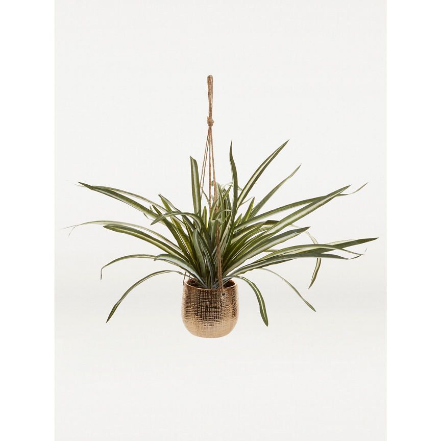 George Home Faux Spider in Hanging Planter General Household ASDA   