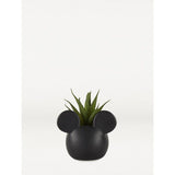 George Home Mickey Mouse Faux Succulent In Pot General Household ASDA   