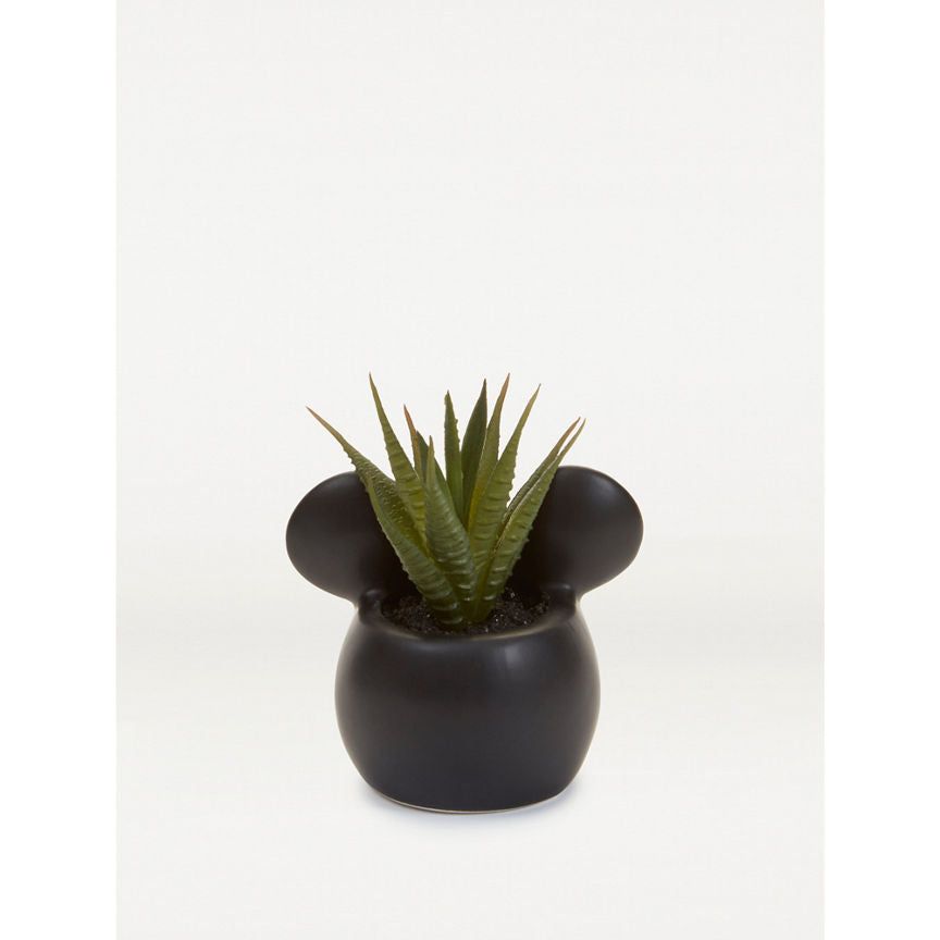 George Home Mickey Mouse Faux Succulent In Pot