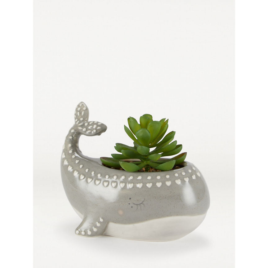 George Home Artificial Whale Succulent General Household ASDA   