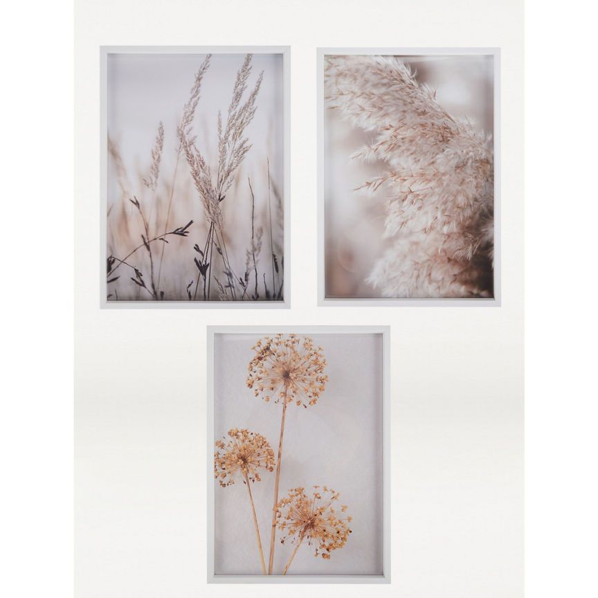 George Home Natural Grass Graphic A3 Print - Set of 3