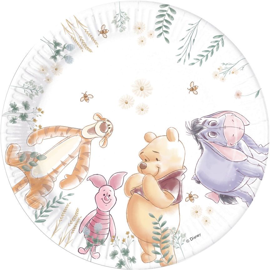 George Home Winne The Pooh Paper Plates