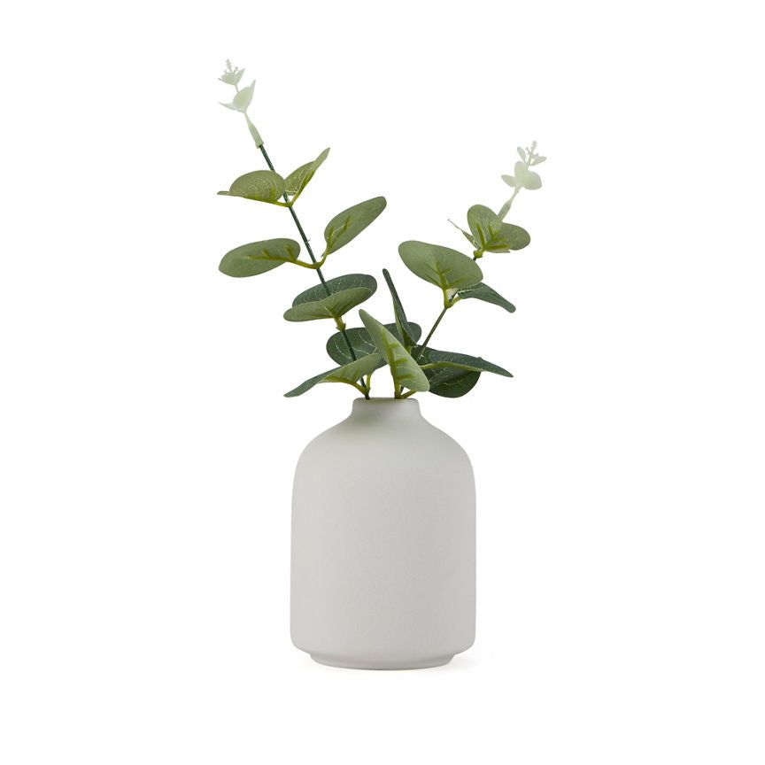 George Home Eucalyptus in Vase