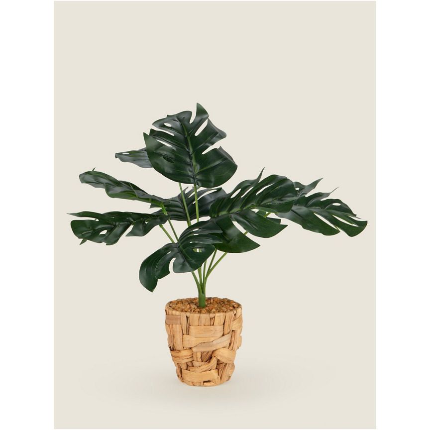 George Home 32cm Artificial Monstera Plant in Water Hyacinth Pot General Household ASDA   