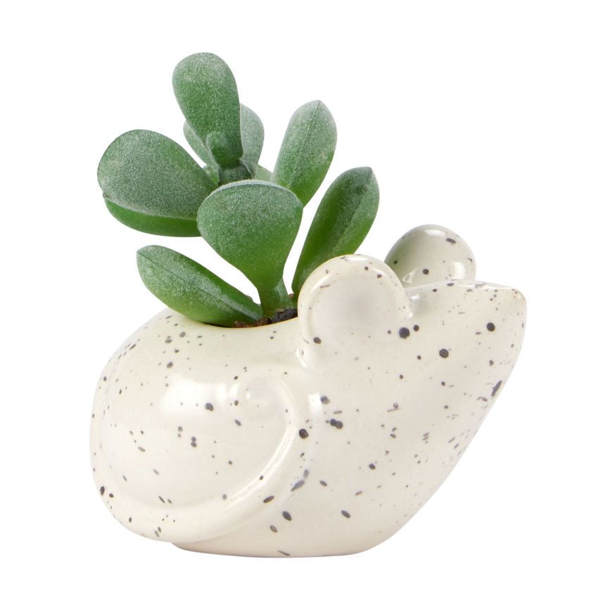 George Home Mouse Succulent