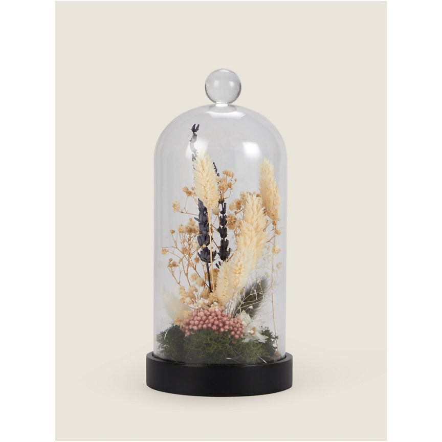 George Home 22cm Dried Floral in Glass Dome General Household ASDA   