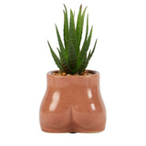 George Home Brown Bottom Planter General Household ASDA   