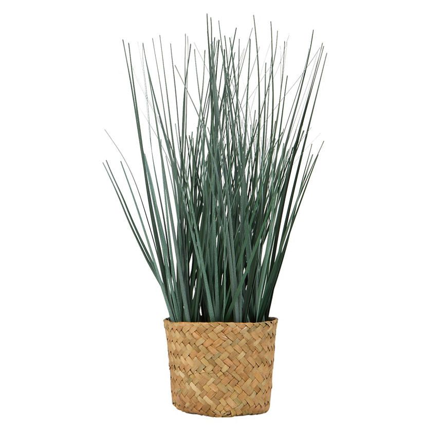 George Home Grass in Basket