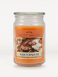 Pacific Wax Co Warm Pumpkin Pie Scented Jar Candle