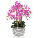 Artificial Large Pink Orchid in Ceramic Pot Faux Flowers Costco UK   