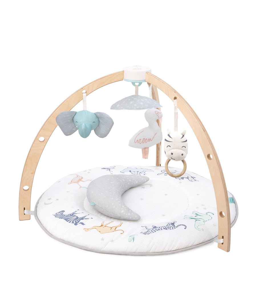 Baby Activity Gym