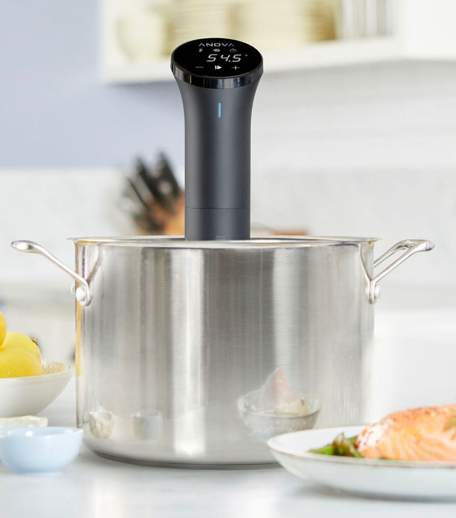 Sous Vide Precision Cooker