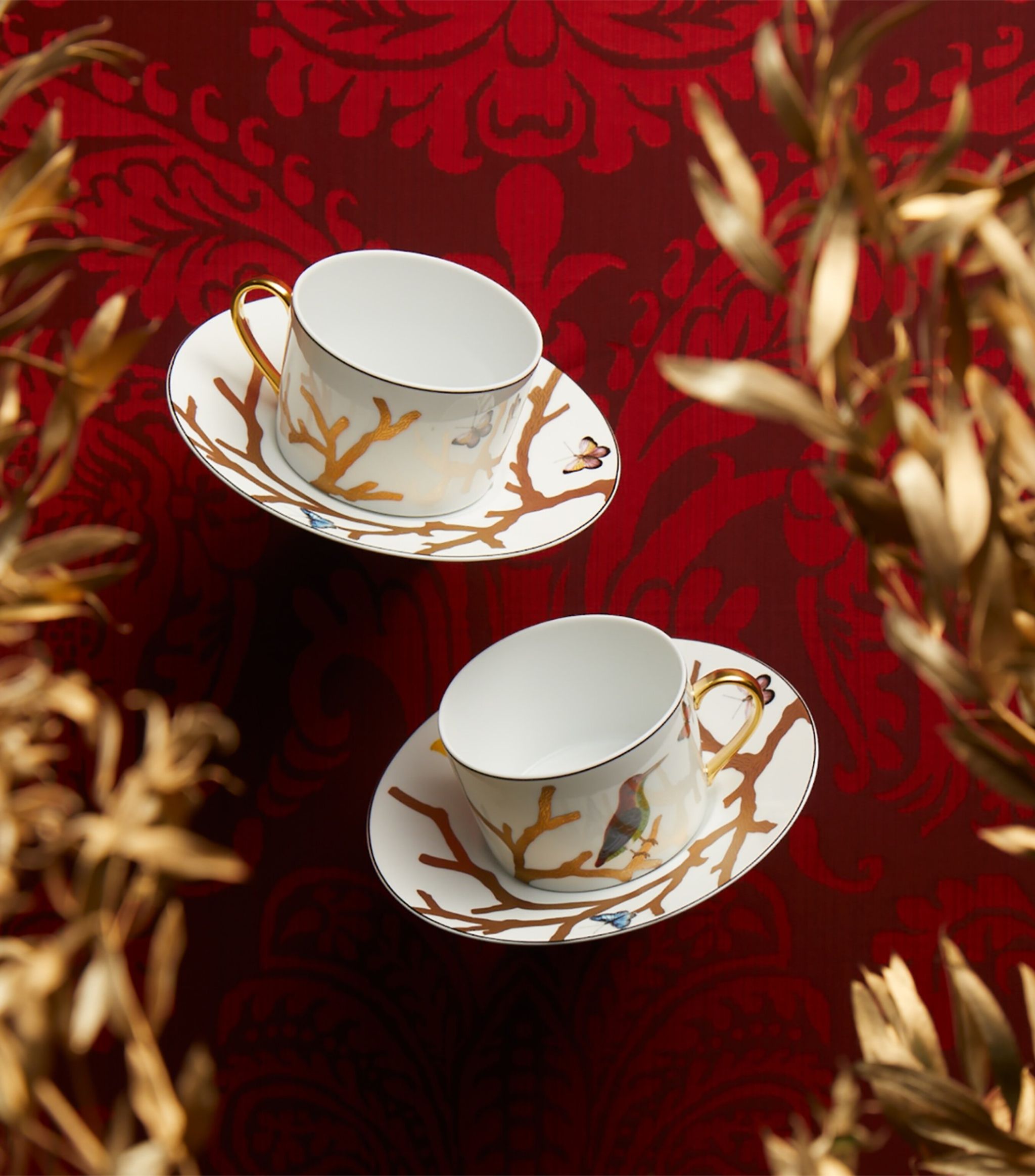 Glass Tea Cup and Saucer Set | The Tea Republic