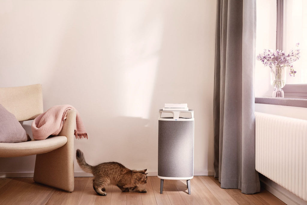 DustMagnet 5240i Air Purifier