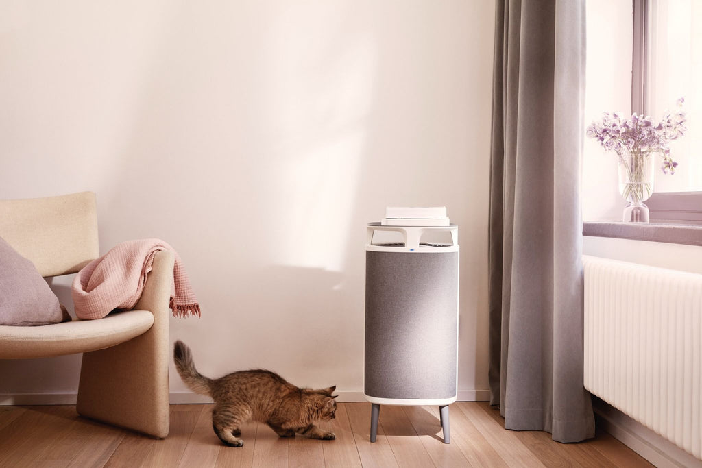 DustMagnet 5440i Air Purifier