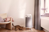 DustMagnet 5440i Air Purifier GOODS Harrods   