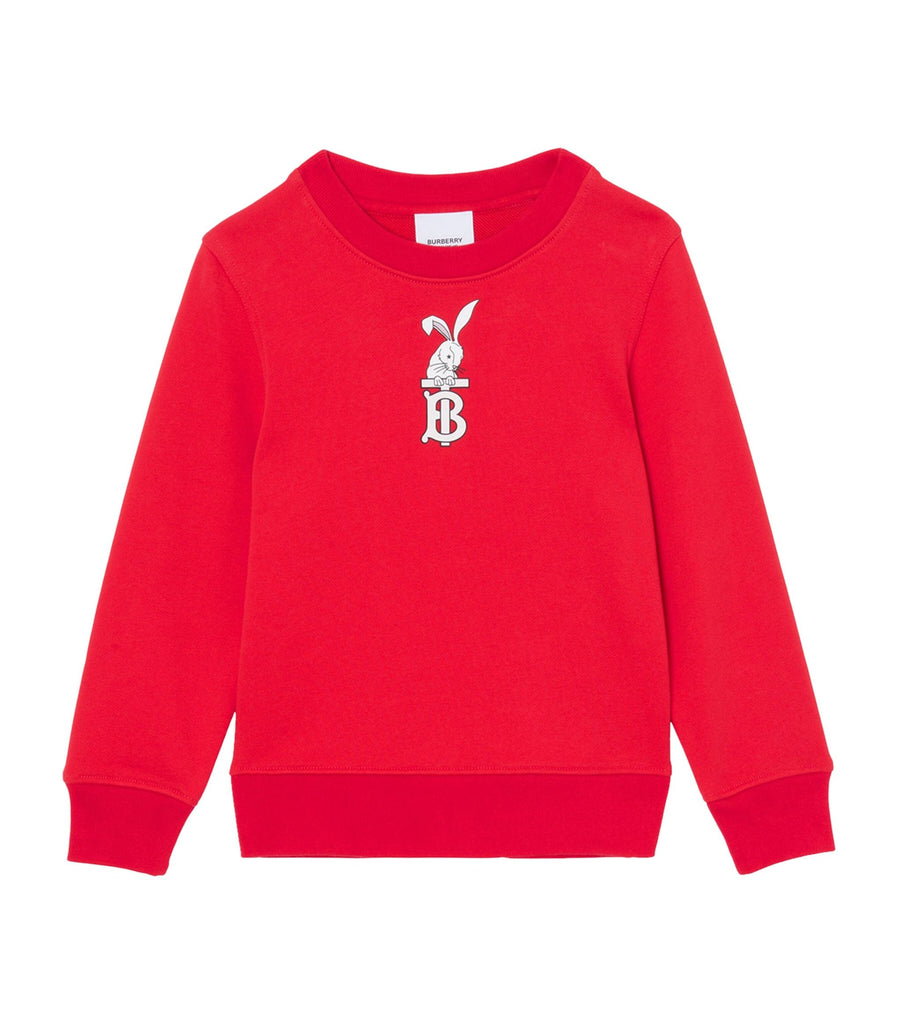 Cotton Rabbit Print Sweatshirt (3-14 Years)