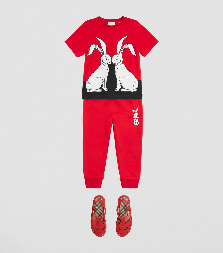 Cotton Rabbit Print T-shirt (3-14 Years)