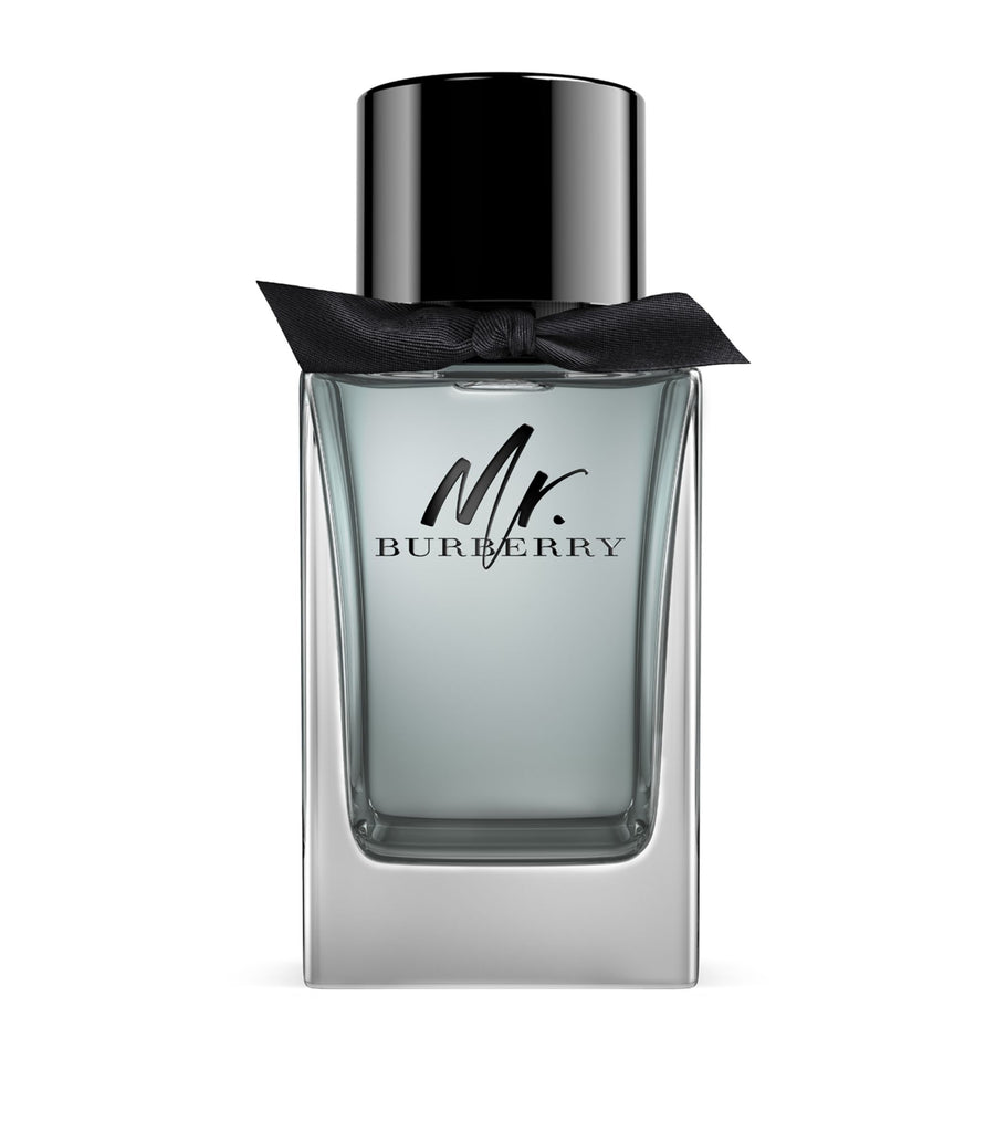 Mr. Burberry Eau de Toilette (100Ml)