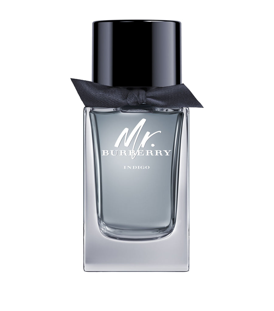 Mr Burberry Indigo Eau de Toilette (100ml)