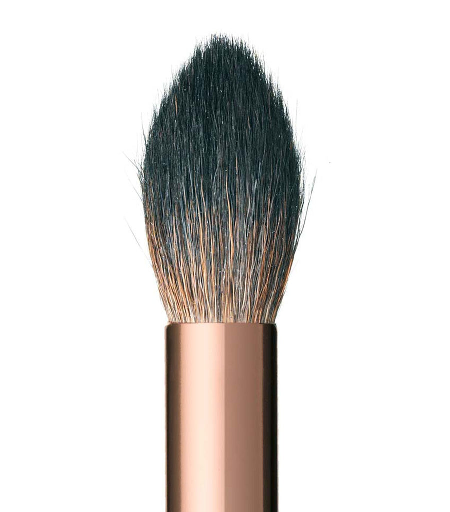 Powder & Sculpt Brush