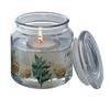 New Core Plus Elderberry & Fig Leaf Gel Candle