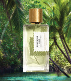 Bohemian Lime Pure Perfume (100ml) GOODS Harrods   