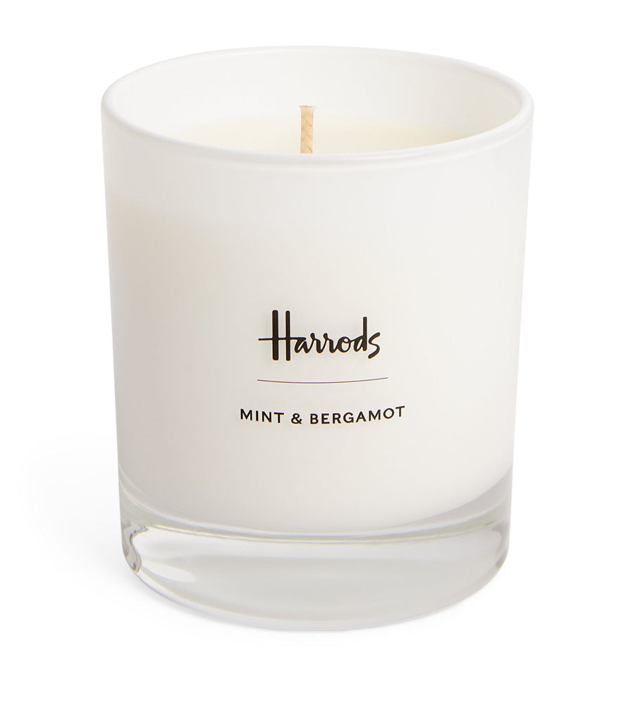 Mint and Bergamot Candle (230g)