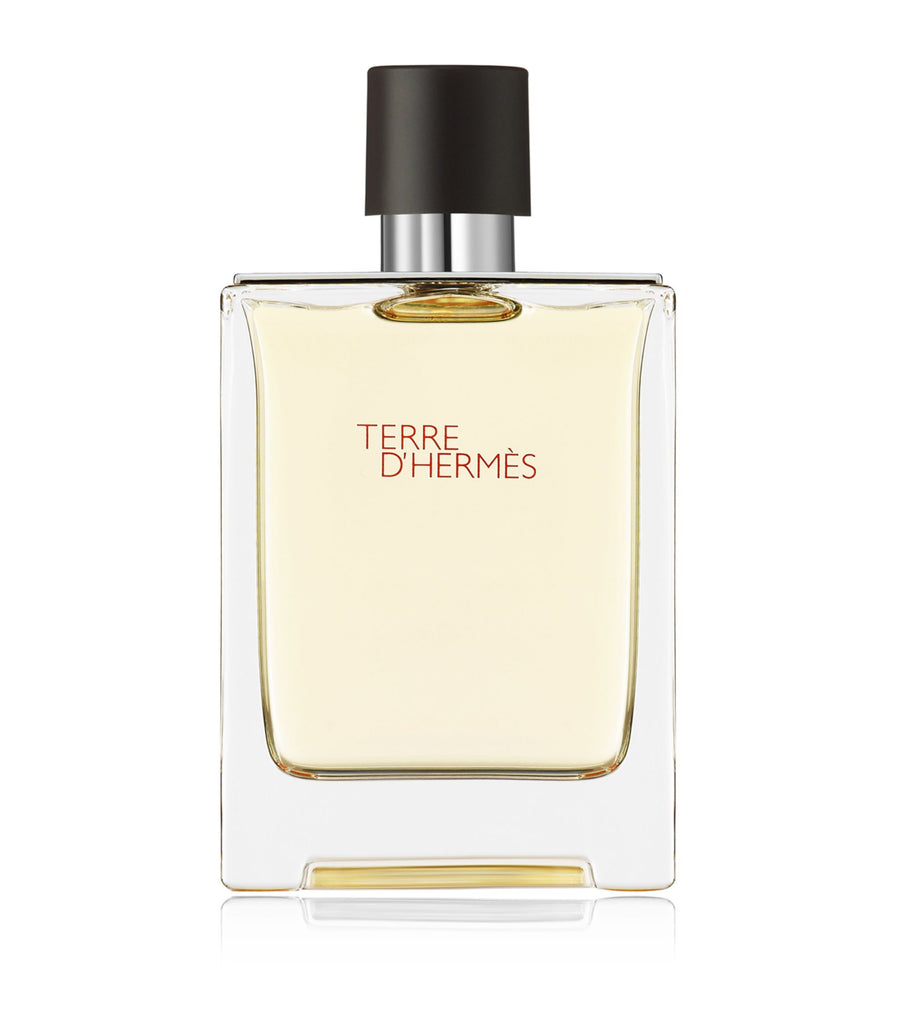 Terre d'Hermès Eau de Toilette (100ml)