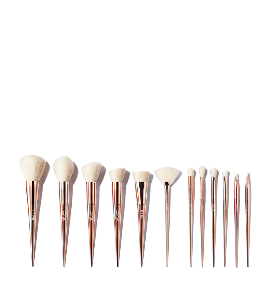 Ultimate Brush Set