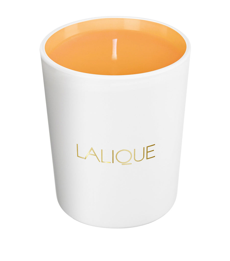 Les Compositions Parfumées Sweet Amber Candle (190g)