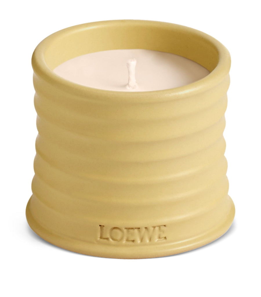 Honeysuckle Candle (170g)