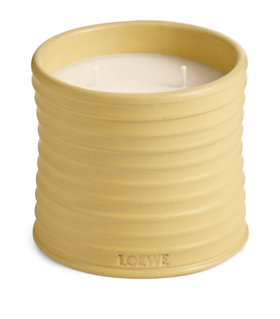 Honeysuckle Candle (610g)