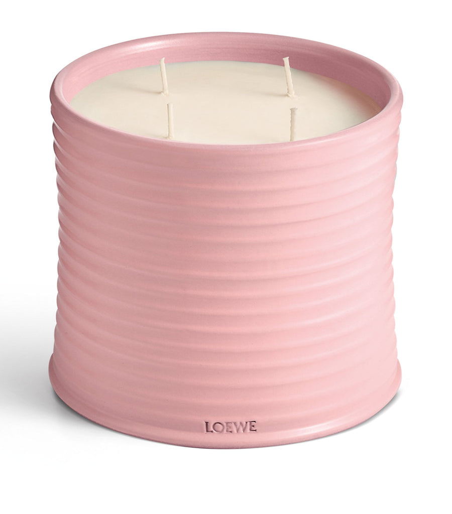 Large Ivy Candle (2.12kg)