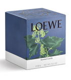 Large Ivy Candle (2.12kg) GOODS Harrods   