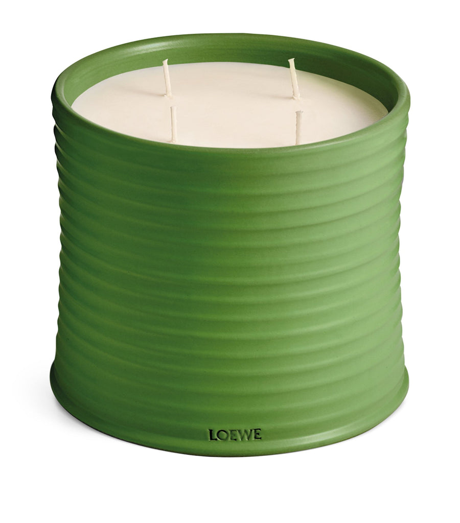 Large Luscious Pea Candle (2.12kg)