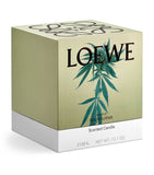 Marihuana Candle (2.12kg) GOODS Harrods   