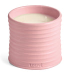 Medium Ivy Candle (610g) GOODS Harrods   