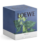 Medium Ivy Candle (610g) GOODS Harrods   