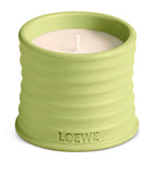 Small Cucumber Candle (170g) GOODS Harrods   