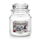 Yankee Medium Jar White Pine Cones - McGrocer