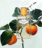 Infusion Mandarine Eau de Parfum (100ml) GOODS Harrods   