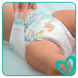 Pampers Baby Dry Size 6, 4 x 31 Pack Nappies & Wipes Costco UK   