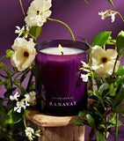 Sacred Jasmine Candle (382g) GOODS Harrods   