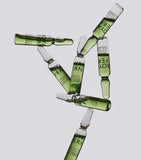 Phytoactive Illuminating Ampoules (12 x 2ml) GOODS Harrods   